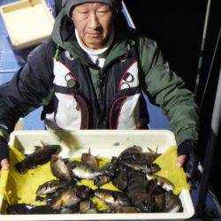 ヤザワ渡船 釣果