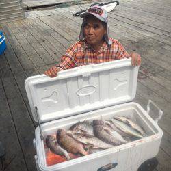 釣り堀水宝 釣果