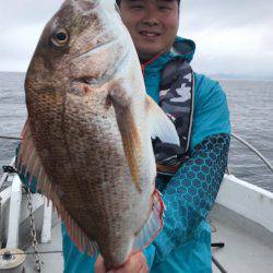 釣鯛洋 釣果