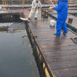 釣り堀水宝 釣果