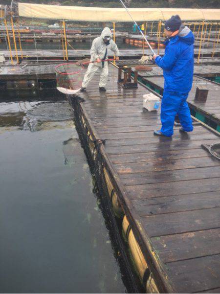 釣り堀水宝 釣果