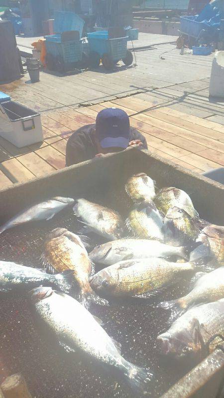 海の釣堀 海恵 釣果