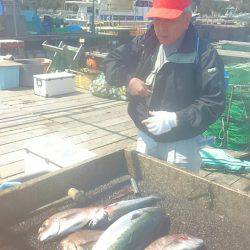 海の釣堀 海恵 釣果