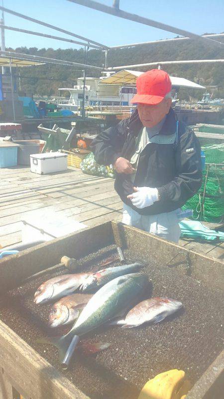 海の釣堀 海恵 釣果