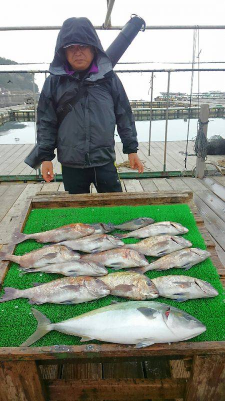 海の釣堀 海恵 釣果