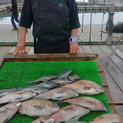 海の釣堀 海恵 釣果