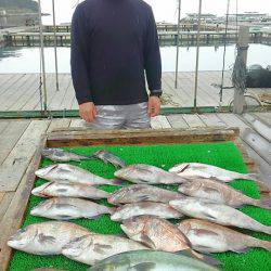 海の釣堀 海恵 釣果