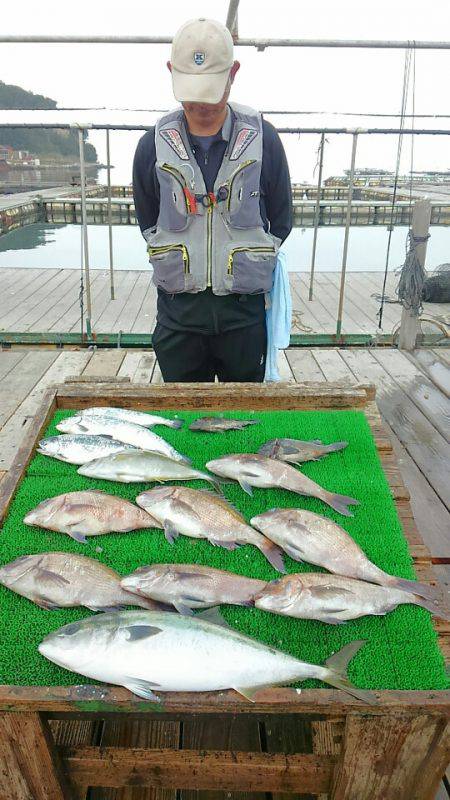 海の釣堀 海恵 釣果