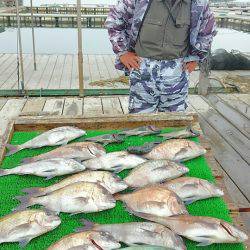 海の釣堀 海恵 釣果