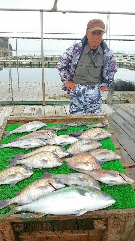 海の釣堀 海恵 釣果