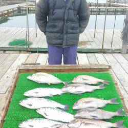 海の釣堀 海恵 釣果