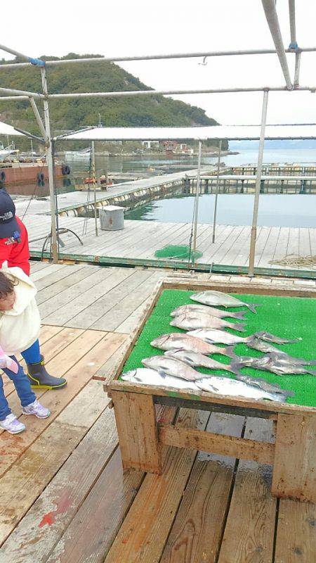 海の釣堀 海恵 釣果