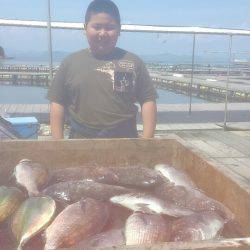 海の釣堀 海恵 釣果