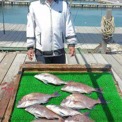 海の釣堀 海恵 釣果