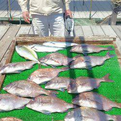 海の釣堀 海恵 釣果