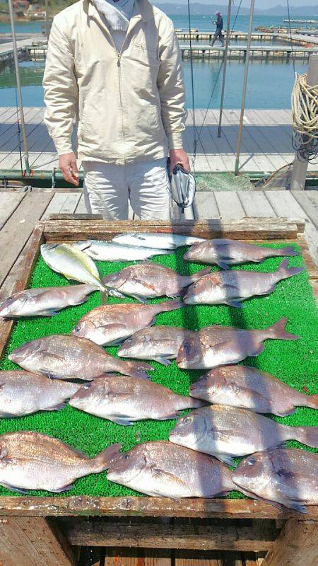 海の釣堀 海恵 釣果