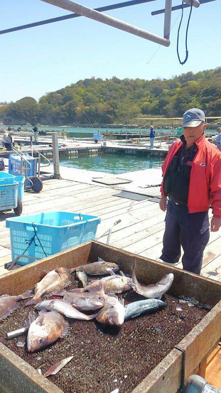 海の釣堀 海恵 釣果