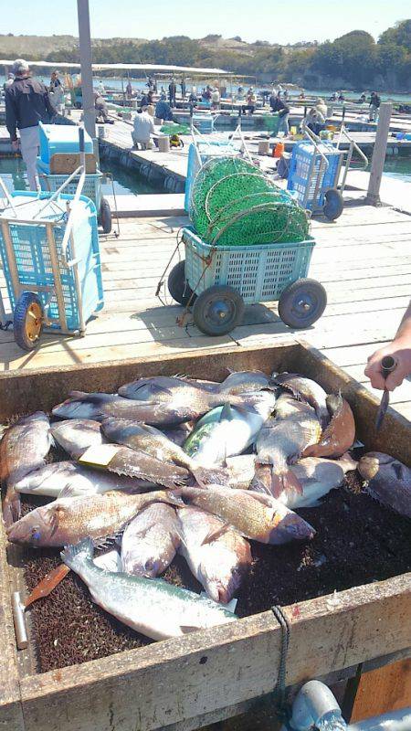 海の釣堀 海恵 釣果