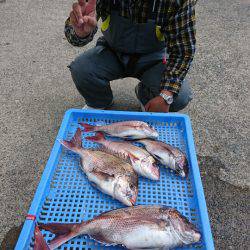 第三共栄丸 釣果