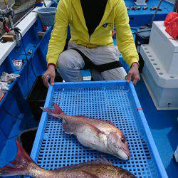 第三共栄丸 釣果