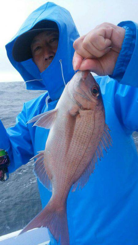 新幸丸 釣果