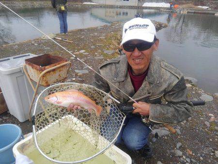 つりぼりあかし 釣果