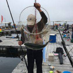 海の釣堀 海恵 釣果