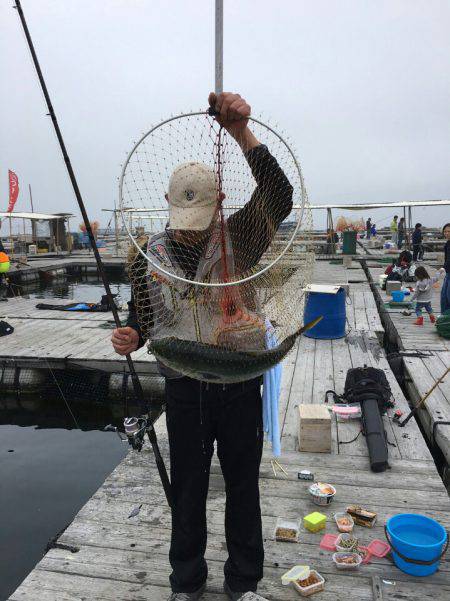 海の釣堀 海恵 釣果