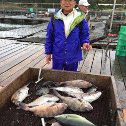 海の釣堀 海恵 釣果