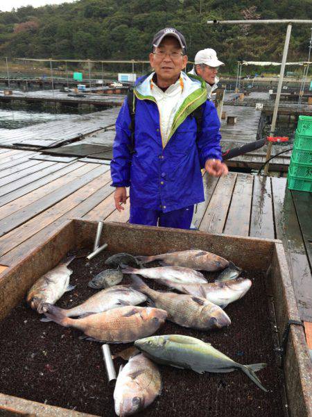 海の釣堀 海恵 釣果