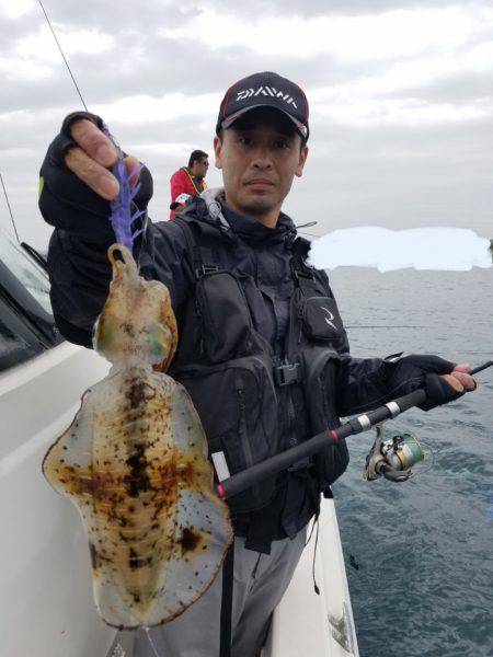 ソルトウォーターガイドフレンズ 釣果