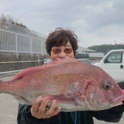 だて丸 釣果