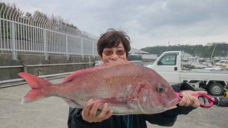 だて丸 釣果