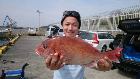 だて丸 釣果