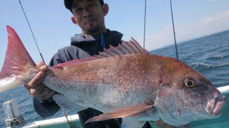 だて丸 釣果