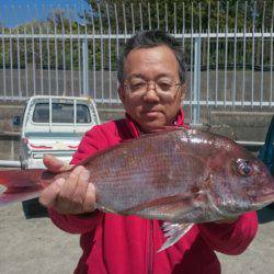 だて丸 釣果