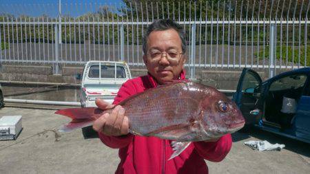 だて丸 釣果