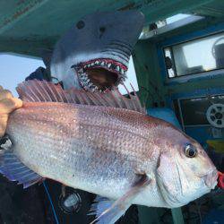 だて丸 釣果