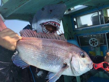 だて丸 釣果