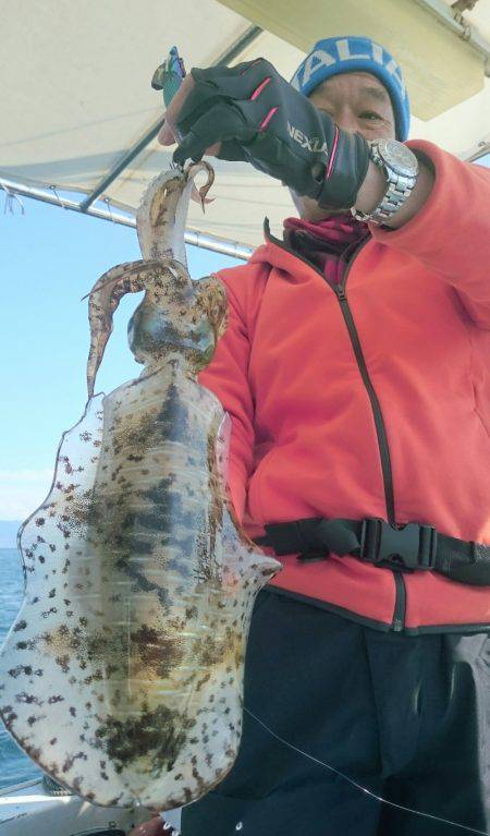 シースナイパー海龍 釣果