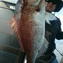 シースナイパー海龍 釣果