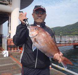 須磨海づり公園　釣果