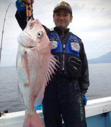 海琉 釣果