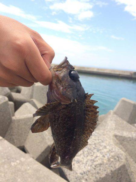 キャンプ 釣り