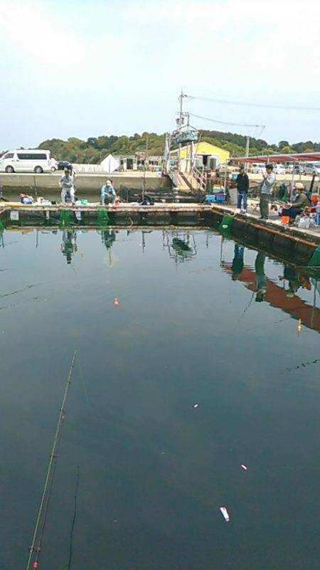 海上釣り堀岬でカンパチ、ヒラマサ狙い