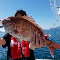 遊漁船　ニライカナイ 釣果