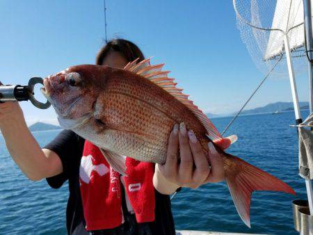 遊漁船　ニライカナイ 釣果