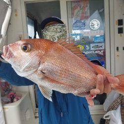 遊漁船　ニライカナイ 釣果