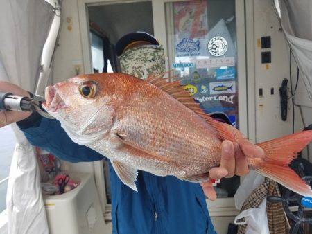 遊漁船　ニライカナイ 釣果