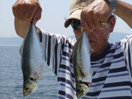 フィッシング太陽 釣果